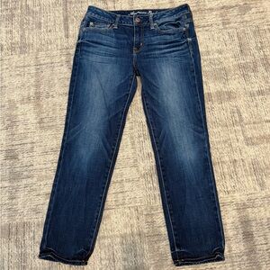 American Eagle Outfitters Blue Straight Leg Jeans Classic Denim